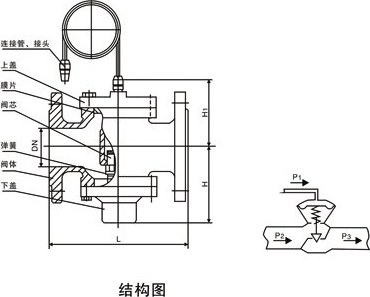 ZCY自立式压差控制阀 结构图 / 尺寸图